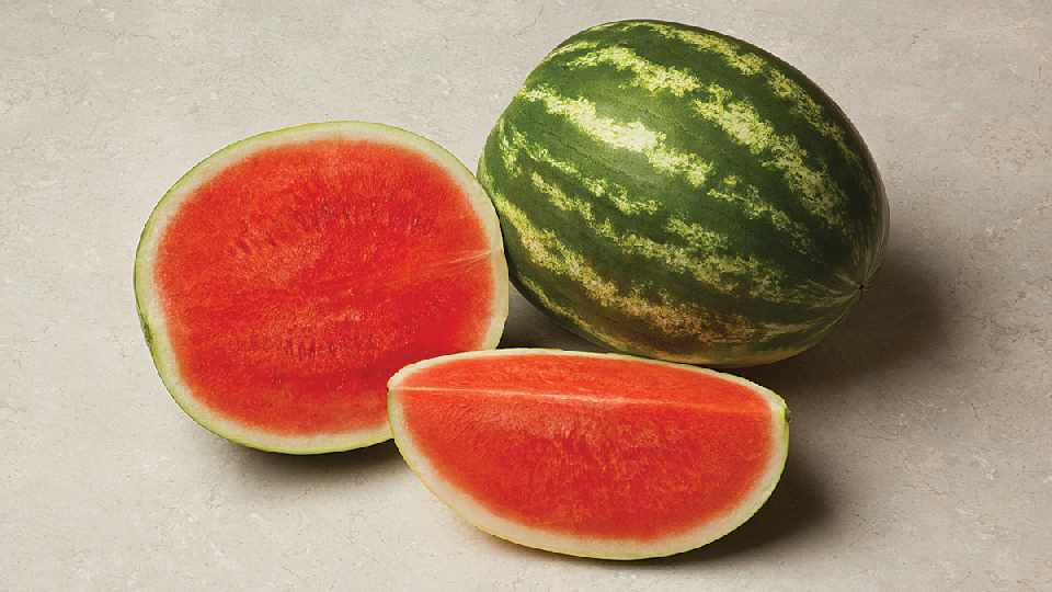 6 Juicy Watermelon Selections For The Sunshine State - Growing Produce