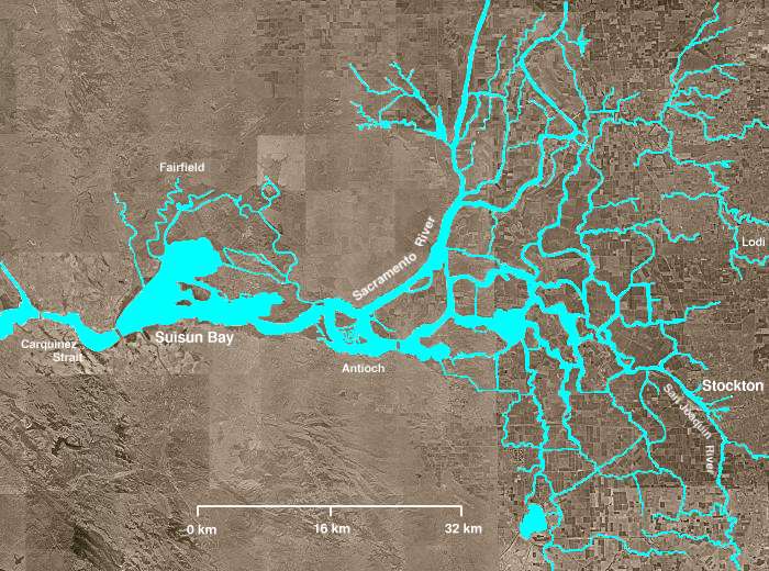 More than half the total river flow in California passes through the Sacramento-San Joaquin River Delta. As surface water is depleted by the drought, growers in this usually productive region are relying on groundwater in increasing numbers. Photo credit: By Decumanus, licensed under CC BY 2.0.