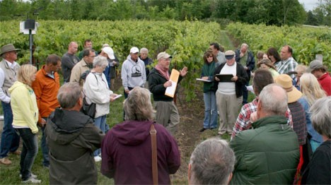 Northern Grapes Project Director Dr. Timothy Martinson speaks about the training system trials during a field day at Coyote Moon Vineyards in Clayton, NY. A variety of training systems are being evaluated in New York, Iowa, and Nebraska, in order to determine which training systems work best for the cold-hardy wine grape cultivars. In addition to hosting research trials, Coyote Moon Vineyards President Phil Randazzo serves on the Northern Grapes Project Advisory Council. (Photo credit: Chrislyn Particka, Cornell University)