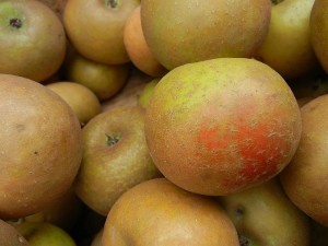 Ashmeads Kernel apples. (Wikimedia commons photo) 