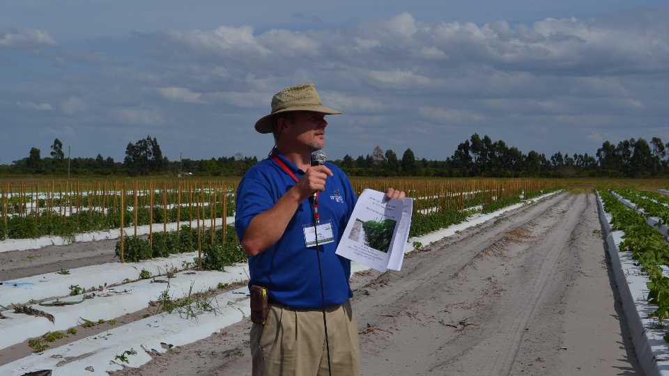 UF/IFAS researcher Dr. Gary Vallad addresses questions during the Vegetable Health field tour about nematicide options. Vallad mentioned impressive results from the new product Nimitz. Photo by Paul Rusnak