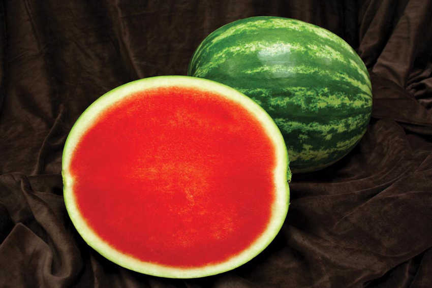 Watermelon Brix Chart