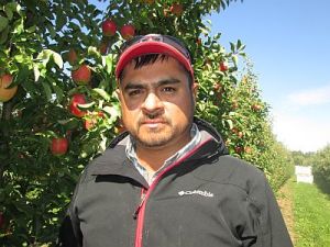 Jose Iniguez is the orchard manager at Lamont Fruit Farm Inc., NY.