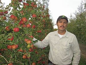 Leo Dominguez is a research  support specialist who works  at the Agricultural Research Station in Geneva, NY.