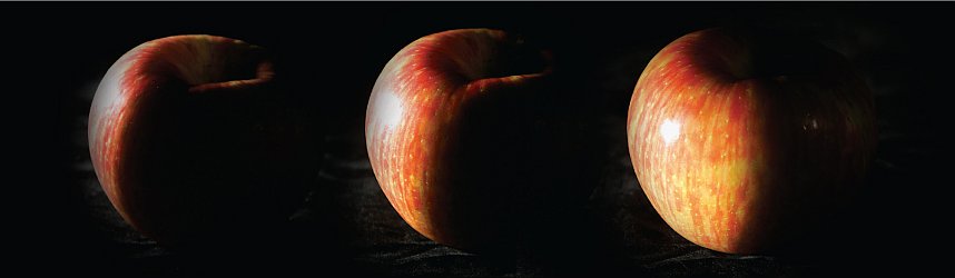 The Dark Side Of Honeycrisp - Growing Produce