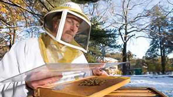 bee keeper