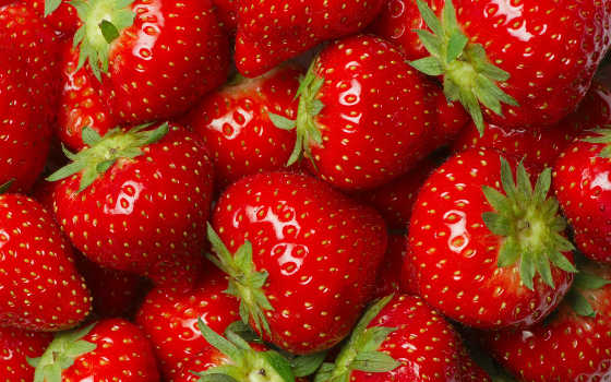 University Of California Davis, California Strawberry Commission Settle Lawsuit