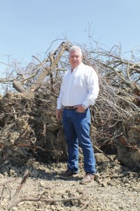 Grower Barry Baker stands among the many almond trees he has pulled because of California's drought. (Photo Credit: David Eddy)