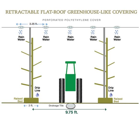Figure 2. A retractable flat-roof greenhouse-like covering system and tree development plan for a fruiting wall narrow canopy architecture, e.g., the upright fruiting offshoots (UFO) or Super Slender Axe (SSA) system.