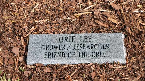 Dedication stone for Orie Lee at Citrus Research and Education Center