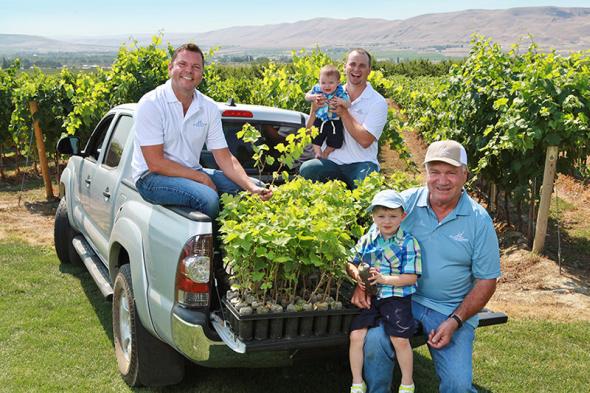 Inland Desert Nursery, co-owned by brothers Kevin and Jerry Judkins and their father, Tom, cultivates 100 acres of clean grapevines known as “mother blocks” with material sourced from Washington State University’s Clean Plant Center foundation vineyard. (Photo courtesy of Inland Desert Nursery)