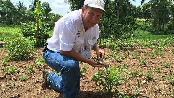 Greg McDonald, UF/IFAS researcher probing peanuts while in Haiti