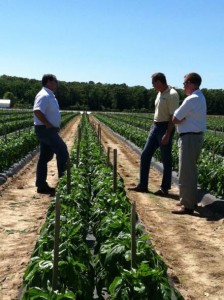 Scott Rush (left) of Lipman helps helps partner growers raise the level of their own operations with education, advice, and cooperation in such areas as food safety, technology use, purchasing power, and sales and marketing. Photo courtesy of Lipman 