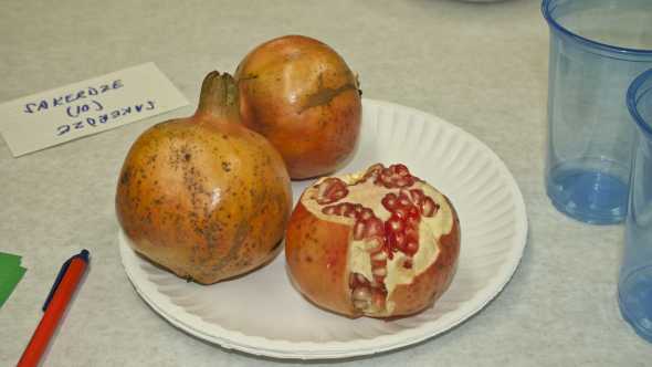 A plate of Florida pomegranates