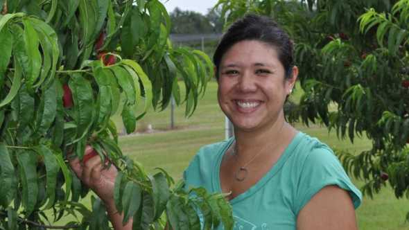 Mercy Olmstead picking peaches