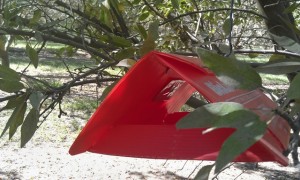 Delta trap in almond orchard with NOW BioLure adhered inside. Photo by Chuck Burks, USDA-ARS