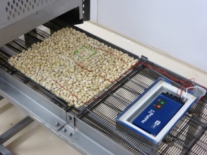 Salmonella-inoculated and instrumented pistachios enter the pilot-scale oven in the Michigan State University Biosafety Level-2 Pilot Plant, as part of a research project aimed at improving process validation methods. Photo: Michael James