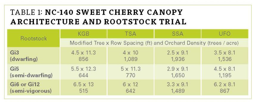NC-140 Cherry Rootstock Trial