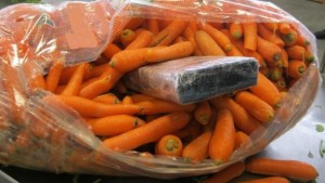 A cocaine package is visible within a bag of carrots. CBP officers seized a total of 164 pounds of cocaine hidden in a carrot shipment at Pharr-Reynosa International Bridge. Photo courtesty of CBP