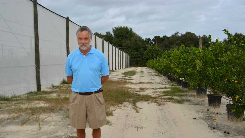 Arnold Schumann, UF/IFAS CREC, stands next to a citrus screenhouse structure