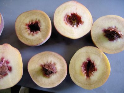 When some varieties are stored incorrectly, they will develop a mealy, dry texture. (Photo credit: Bill Shane)