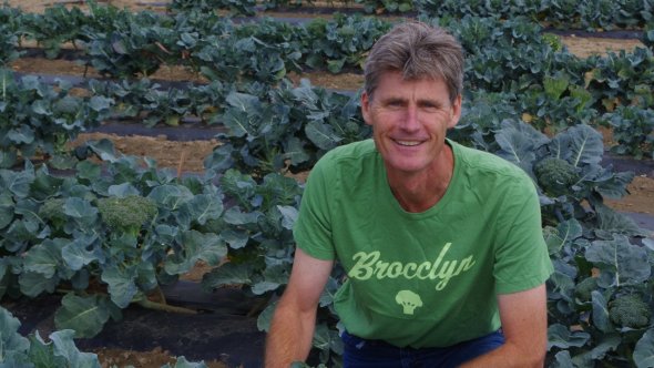 Thomas Björkman, the director of the Eastern Broccoli Project, discusses details on the challenges of broccoli production in the East.