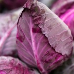 Hazera Seeds will highlight Tinty, a unique red pointed cabbage, at the upcoming Fruit Logistica in Germany.