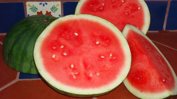 Watermelon Triple Treat for web