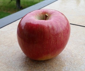 Arctic Fuji apple (Photo credit: Okanagan Specialty Fruits Inc.)