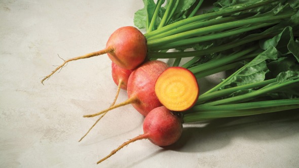 Touchstone Gold beet from Sakata Seed America receives top score in sensory test. 