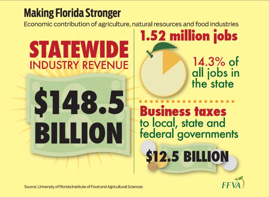 Infographic from FFVA about the economic contribution of agriculture, natural resources, and food industries to the state of Florida