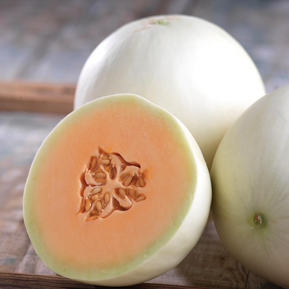 10 Cantaloupe And Melon Varieties You Need To Know Growing Produce