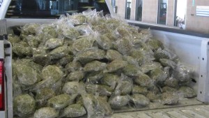 Plastic-wrapped bundles containing a total of 766 pounds of marijuana were seized by CBP officers at Pharr-Reynosa INternational Bridge within a commercial shipment of broccoli. Photo courtesy of CPB
