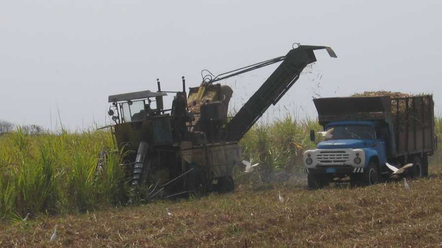 Sugarcane harvesting in Cuba