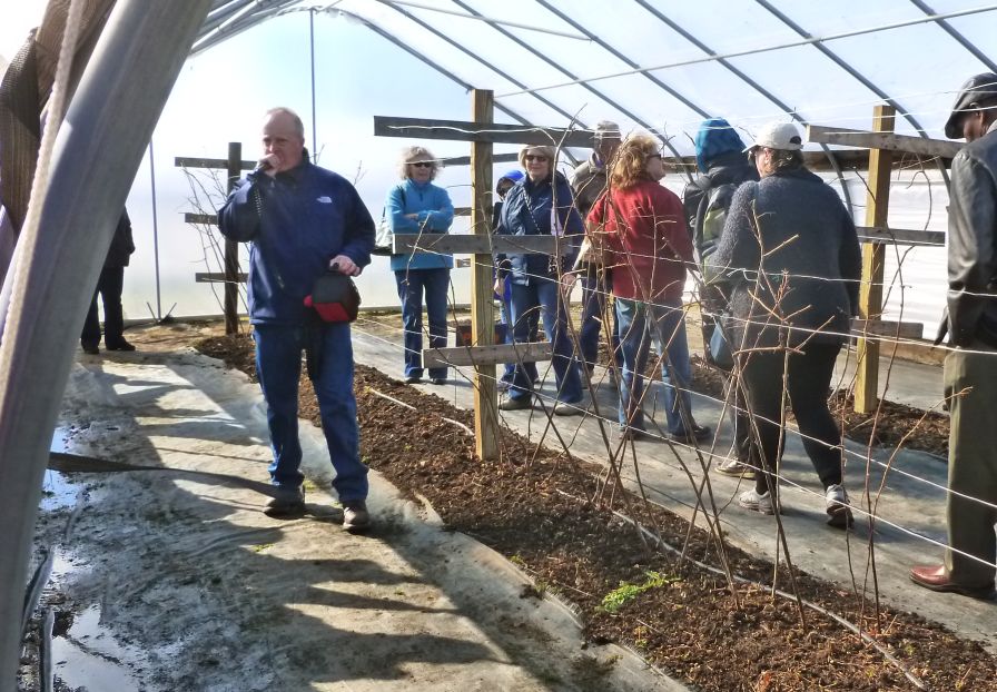 Tourgoers of the NARBA conference got a chance to see some high tunnel research at Virgina State University's research station in in Petersburg, VA. (Photo credit: NARBA)
