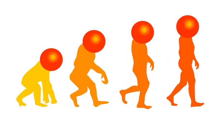 Humorous take on the theory of evolution for citrus