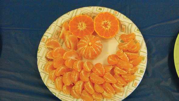 Plateful of specialty tangerine variety samples.