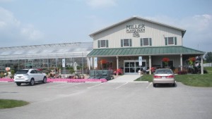 In 2011, the Millers opened an air-conditioned and handicap-accessible facility consisting of a 2,500-square-foot market and an 11,000-square foot area for a retail greenhouse. Photo courtesy of Miller Plant Farm