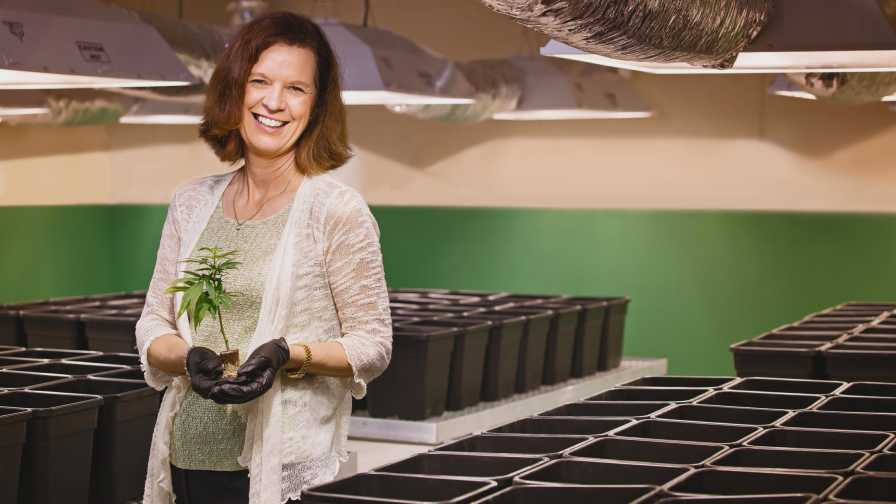 Susan Driscoll of Surterra Therapeutics holding a cannabis plant in her company's cultivation facility