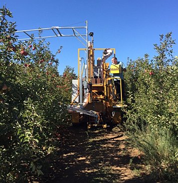 The robotic harvester is working in the orchard.(Photo credit: FFRobotics)