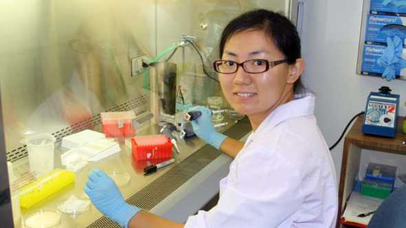Jiaqi Yan, UF/IFAS, working on Citrus black spot experiments in the lab