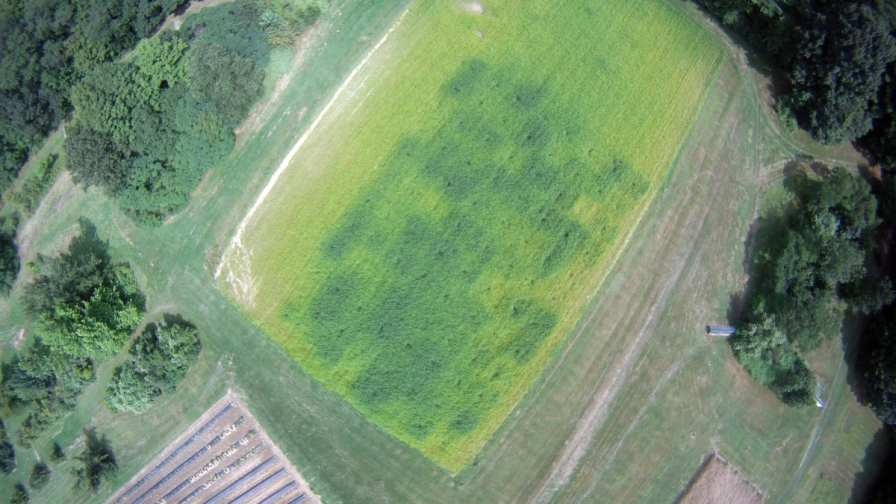 An aerial photo shows a checkerboard pattern of the cover crop project at the experiment station’s Woodman Horticultural Research Farm. Credit: Rich Smith, University of New Hampshire
