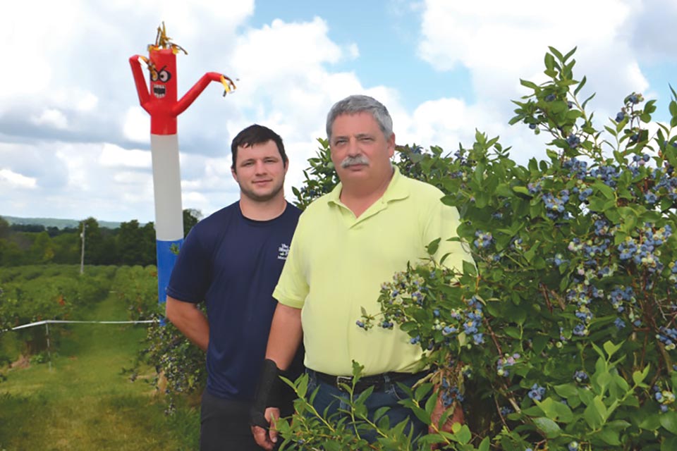 Andrew (left) and Steve Beilstein use an air dancer, pictured in the background, as a bird-scaring device at The Blueberry Patch in Lexington, OH. (Photo credit: Gary Gao)