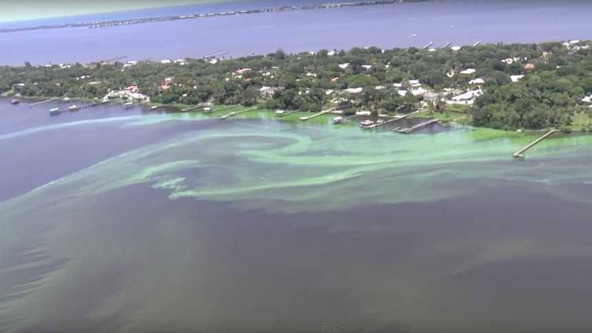 South Florida algal bloom from the air near Stuart, FL
