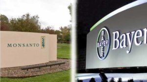 Split view of Monsanto and Bayer company signage
