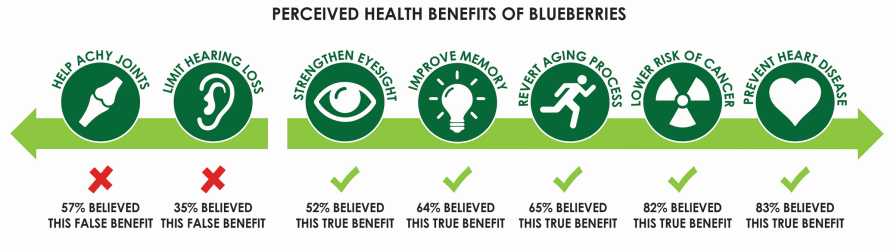 Graphic depicting consumers' perceived health benefits of blueberries