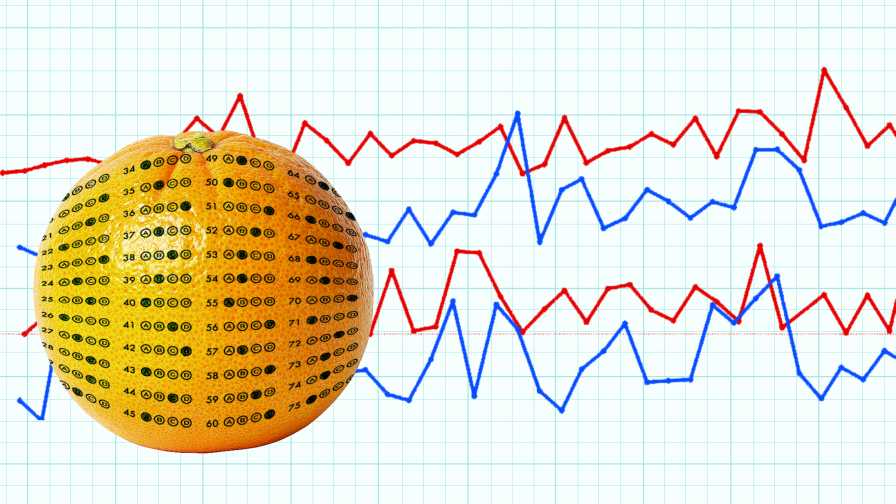 illustration showing data taken and recorded on new citrus varieties