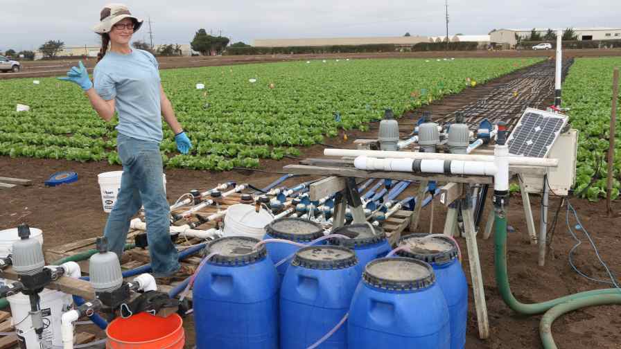 UC-Davis and UC Cooperative Extension researchers have conducted field trials simulating water of different nitrate concentrations. 