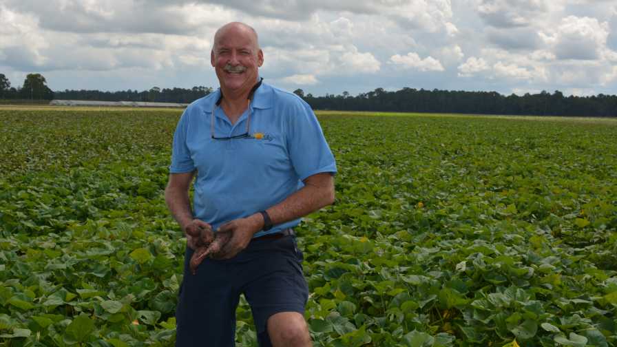 Danny Johns of Blue Sky Farms standing in his potato field in Northeast Florida