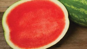 Clifton Seed's Excursion watermelon